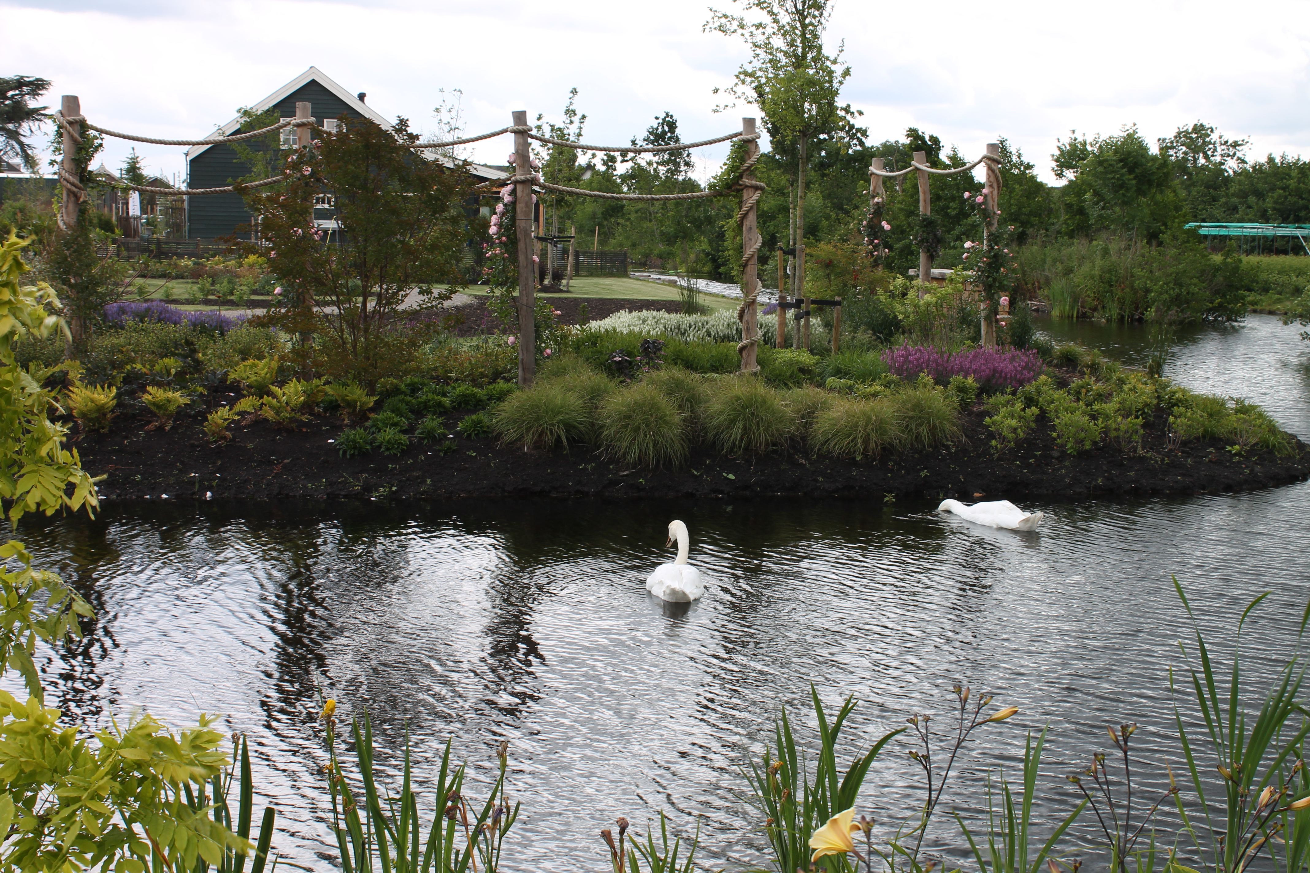 Halte Rijneveld/Goudse Rijweg